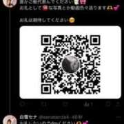 ヒメ日記 2024/12/25 11:30 投稿 白雪 セナ Dolce～ドルチェ～