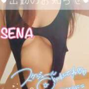 ヒメ日記 2024/12/12 21:00 投稿 せな(人妻) THE・TRY