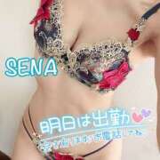 ヒメ日記 2025/01/14 11:50 投稿 せな(人妻) THE・TRY