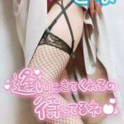 ヒメ日記 2025/03/08 23:50 投稿 せな(人妻) THE・TRY