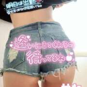 ヒメ日記 2025/04/02 12:30 投稿 せな(人妻) THE・TRY