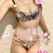 ヒメ日記 2025/06/23 08:55 投稿 せな(人妻) THE・TRY