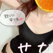 ヒメ日記 2025/06/26 20:00 投稿 せな(人妻) THE・TRY