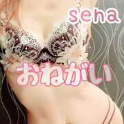 ヒメ日記 2025/08/20 12:00 投稿 せな(人妻) THE・TRY