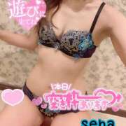 ヒメ日記 2025/09/22 08:46 投稿 せな(人妻) THE・TRY