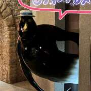 ヒメ日記 2025/09/26 00:20 投稿 せな(人妻) THE・TRY