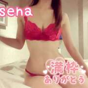 ヒメ日記 2025/10/27 09:09 投稿 せな(人妻) THE・TRY