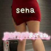 ヒメ日記 2025/11/19 00:00 投稿 せな(人妻) THE・TRY