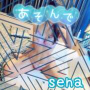 ヒメ日記 2025/11/25 12:00 投稿 せな(人妻) THE・TRY