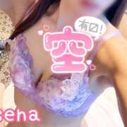 ヒメ日記 2025/12/04 13:54 投稿 せな(人妻) THE・TRY