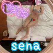 ヒメ日記 2026/03/15 01:00 投稿 せな(人妻) THE・TRY