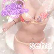 ヒメ日記 2026/03/23 00:30 投稿 せな(人妻) THE・TRY