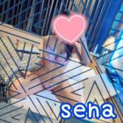 ヒメ日記 2026/03/29 23:30 投稿 せな(人妻) THE・TRY