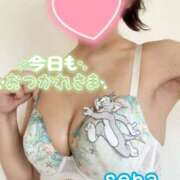 ヒメ日記 2026/06/02 13:50 投稿 せな(人妻) THE・TRY