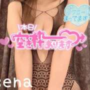 ヒメ日記 2026/06/23 09:05 投稿 せな(人妻) THE・TRY