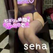 ヒメ日記 2026/07/08 12:00 投稿 せな(人妻) THE・TRY