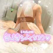 ヒメ日記 2026/09/11 12:00 投稿 せな(人妻) THE・TRY