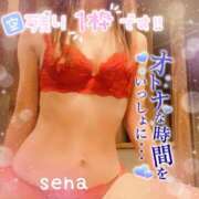 ヒメ日記 2026/09/20 08:57 投稿 せな(人妻) THE・TRY