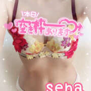 ヒメ日記 2026/10/13 09:00 投稿 せな(人妻) THE・TRY