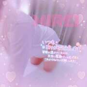 ヒメ日記 2025/04/01 08:42 投稿 みれい(人妻) THE・TRY