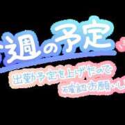 みれい(人妻) お知らせ???*.? THE・TRY