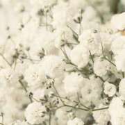 つばさ つばさ日記 THE・TRY