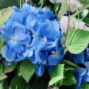 ヒメ日記 2025/06/19 11:05 投稿 水瀬あずさ ホワイトハウス(曙町)