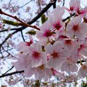 水瀬あずさ 生存確認 ホワイトハウス(曙町)