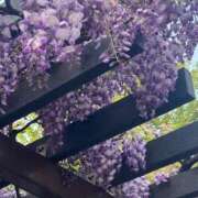 ヒメ日記 2025/05/01 22:29 投稿 みさき 人妻本舗愛のしずく名古屋店