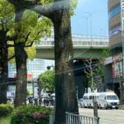 ヒメ日記 2025/05/03 12:11 投稿 みさき 人妻本舗愛のしずく名古屋店