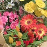 ヒメ日記 2025/05/11 20:00 投稿 みさき 人妻本舗愛のしずく名古屋店