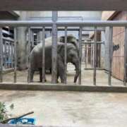 ヒメ日記 2025/06/04 22:34 投稿 みさき 人妻本舗愛のしずく名古屋店