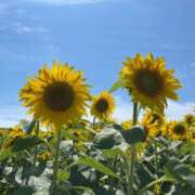 ヒメ日記 2025/06/28 08:34 投稿 みさき 人妻本舗愛のしずく名古屋店