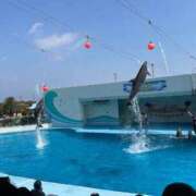 ヒメ日記 2025/09/01 20:46 投稿 みさき 人妻本舗愛のしずく名古屋店