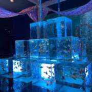 ヒメ日記 2025/09/01 21:40 投稿 みさき 人妻本舗愛のしずく名古屋店