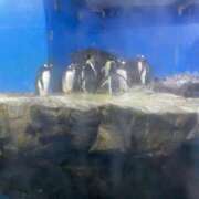 ヒメ日記 2025/09/05 22:43 投稿 みさき 人妻本舗愛のしずく名古屋店