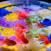 ヒメ日記 2025/09/17 18:52 投稿 みさき 人妻本舗愛のしずく名古屋店