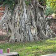 ヒメ日記 2025/10/23 21:11 投稿 みさき 人妻本舗愛のしずく名古屋店