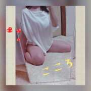 ヒメ日記 2025/09/26 13:45 投稿 こころ 人妻本舗愛のしずく名古屋店