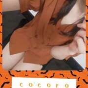 ヒメ日記 2025/09/30 14:16 投稿 こころ 人妻本舗愛のしずく名古屋店