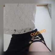 ヒメ日記 2025/12/17 10:36 投稿 こころ 人妻本舗愛のしずく名古屋店