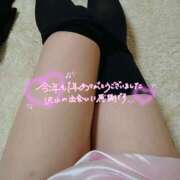 ヒメ日記 2025/12/31 12:01 投稿 こころ 人妻本舗愛のしずく名古屋店