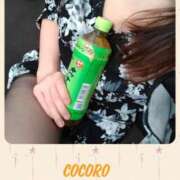 ヒメ日記 2026/01/25 10:45 投稿 こころ 人妻本舗愛のしずく名古屋店