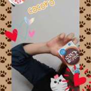 ヒメ日記 2026/02/13 11:45 投稿 こころ 人妻本舗愛のしずく名古屋店