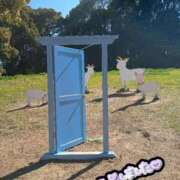 ヒメ日記 2026/02/28 12:06 投稿 こころ 人妻本舗愛のしずく名古屋店