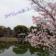 ヒメ日記 2026/03/23 11:57 投稿 こころ 人妻本舗愛のしずく名古屋店