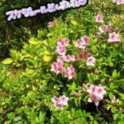 ヒメ日記 2026/04/21 19:41 投稿 こころ 人妻本舗愛のしずく名古屋店