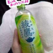 ヒメ日記 2026/04/26 16:39 投稿 こころ 人妻本舗愛のしずく名古屋店