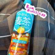ヒメ日記 2026/05/05 15:13 投稿 こころ 人妻本舗愛のしずく名古屋店