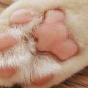 ヒメ日記 2025/04/30 15:31 投稿 あさみ 人妻本舗愛のしずく名古屋店